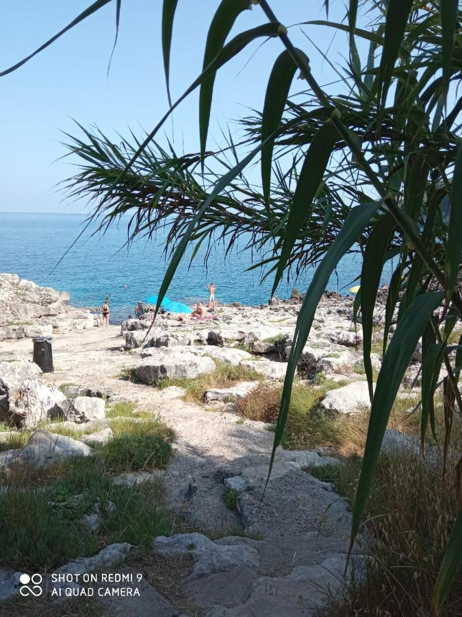 La Mennula Garden Lägenhet Salignano  Exteriör bild