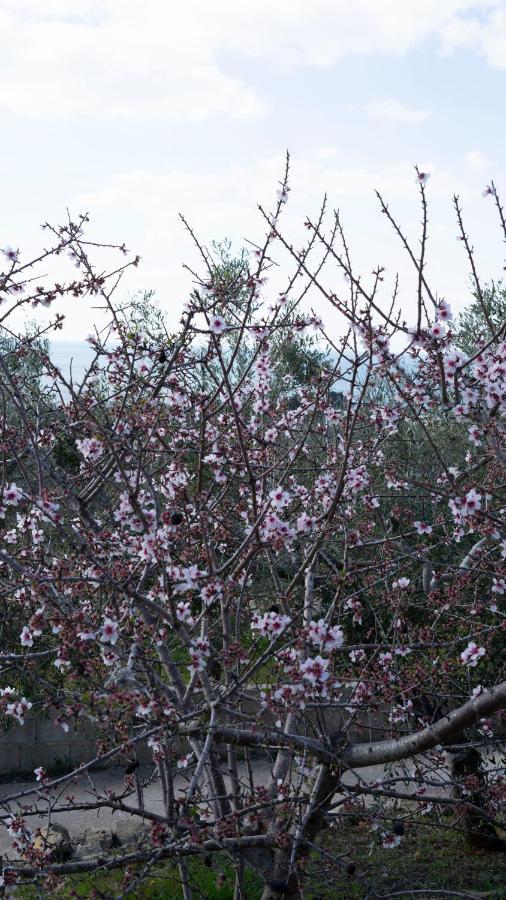 La Mennula Garden Lägenhet Salignano  Exteriör bild